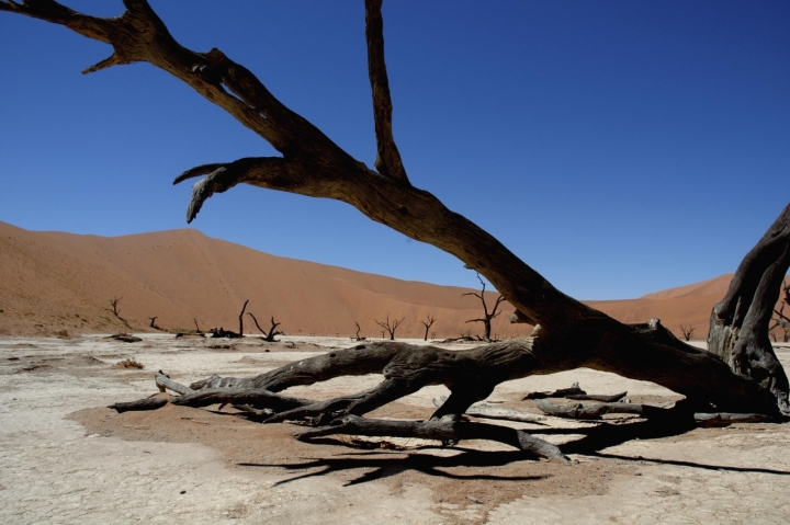 La natura del deserto di amarchisio