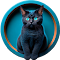 Item logo image for Catch the Cat Game