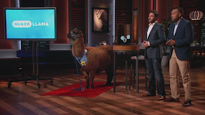 Shark Tank thumbnail