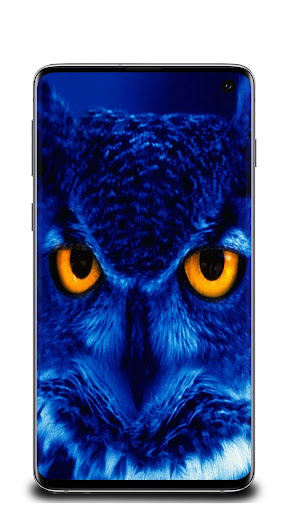 Neon animal Wallpaper