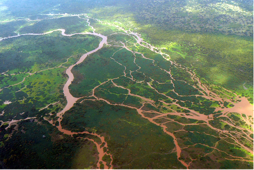 Tana Delta complex channels