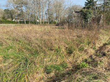 terrain à La Chapelle-des-Marais (44)