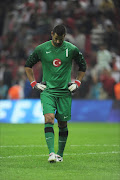 Turkey's goalkeeper Volkan Demirel . File photo
