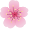 Item logo image for Unlimited Free Screen Recorder - Bloom