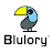 Blulory FUN icon