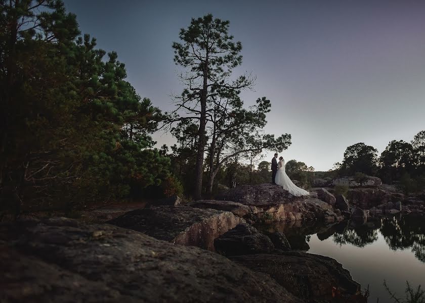 Wedding photographer Carlos Medina (carlosmedina). Photo of 16 February 2019