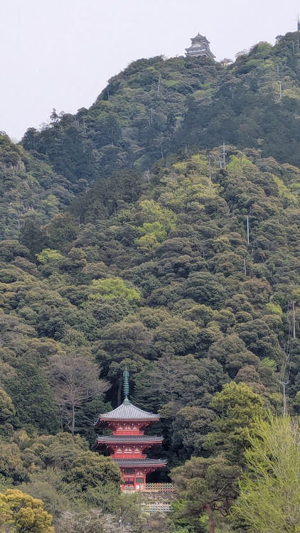 GRヤリスの山城跡巡り・岐阜城とコラボ・金華山ロープウェイ・犬山城とコラボ🏯・いつもいいね＆コメントありがとうございますに関するカスタム事例の投稿画像9枚目