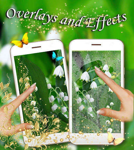 Lilies Valley May Live Wallpaper