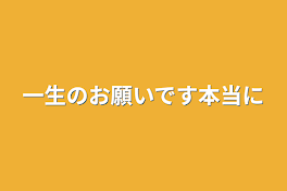 一生のお願いです本当に