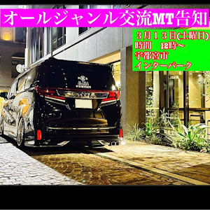 アルファード ANH20W