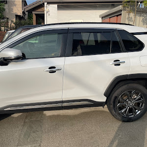 RAV4 AXAH52