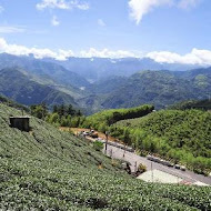 嘉義梅山二尖山休閒茶園