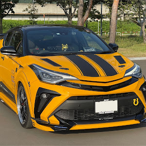 C-HR NGX10