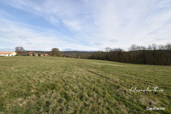 terrain à Neuville-sur-Ain (01)