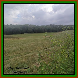 terrain à Semur-en-Auxois (21)