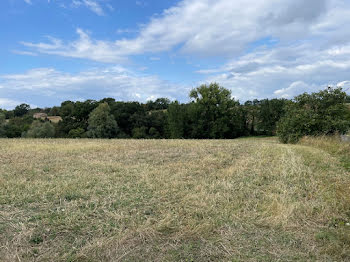 terrain à Montfa (81)