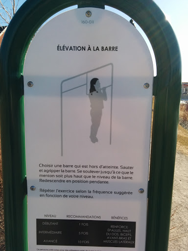 Elevatlon A La Barre