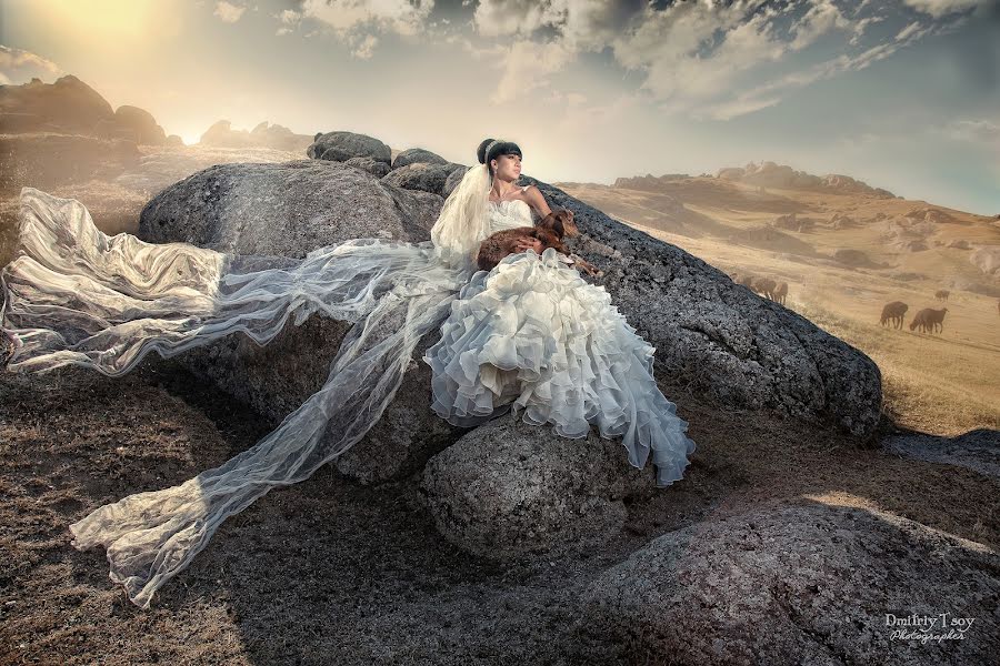 Wedding photographer Dmitriy Coy (dtsoyphoto). Photo of 29 May 2015