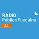 Download Radio Pública Fueguina FM 103.1 For PC Windows and Mac 1.3.0