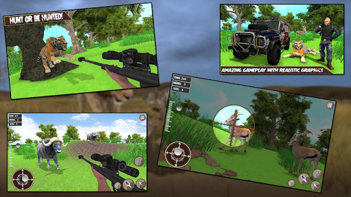 Wild Animals Hunting Shooting Simulator 3D