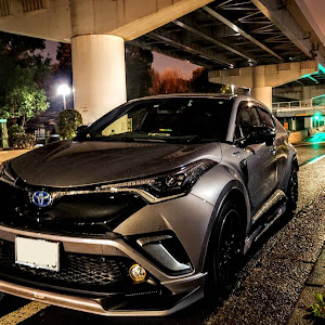C-HR ZYX10
