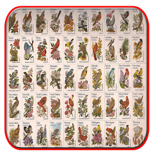 Aves Do Brasil(圖2)-速報App