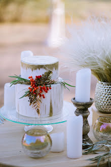 Wedding photographer Svetlana Tyugay (svetlanatyugay). Photo of 13 February 2019