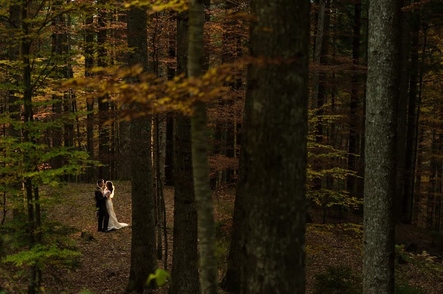 Wedding photographer Andrei Stefan (inlowlight). Photo of 28 August 2018