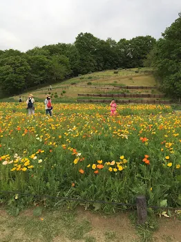 「やっぱりあなたが好きた」のメインビジュアル