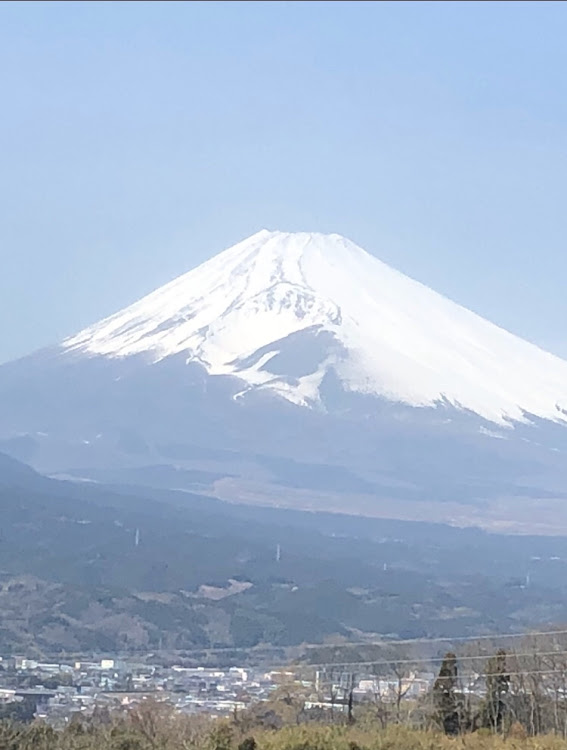 の投稿画像4枚目