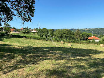 terrain à Pampelonne (81)