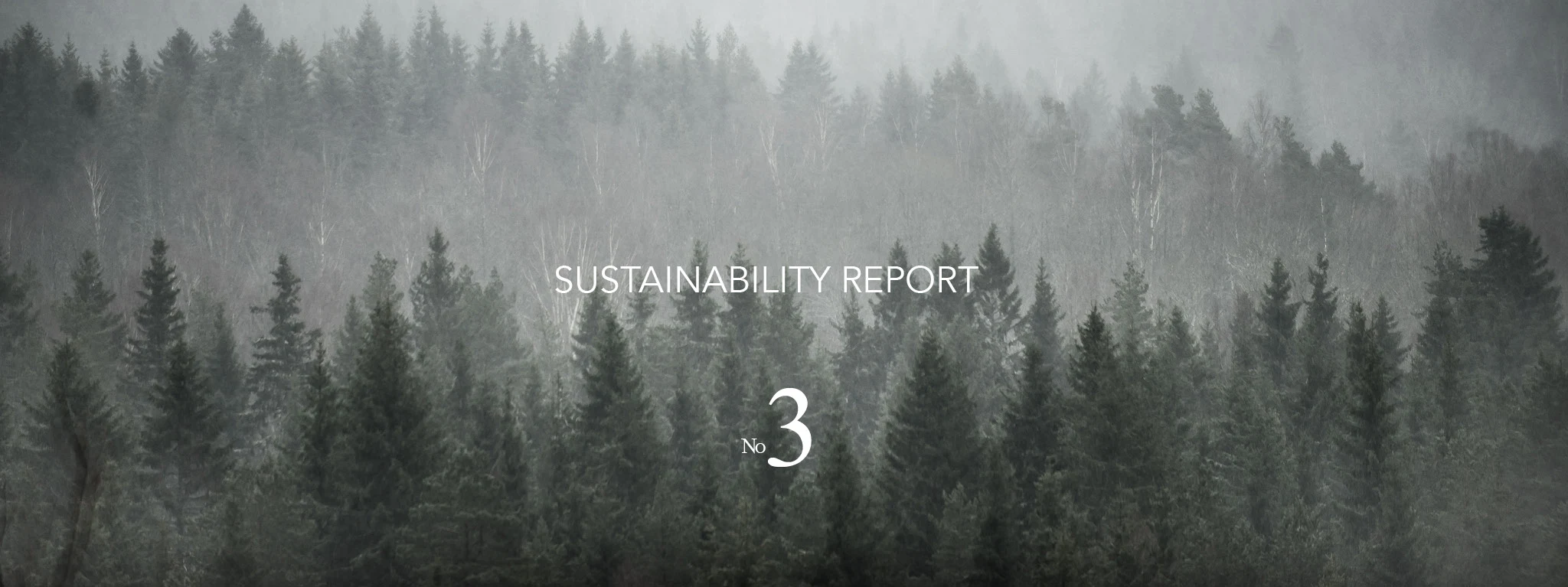 Sustainability Report 2023