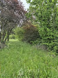 terrain à Mignaloux-Beauvoir (86)