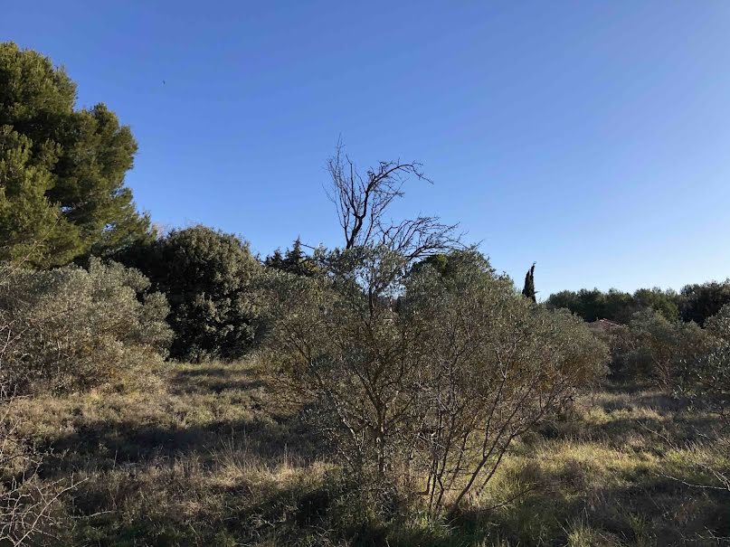 Vente terrain à batir  790 m² à Merindol (84360), 290 000 €