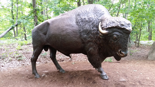 Bronze Bison