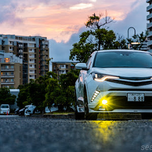 C-HR NGX50