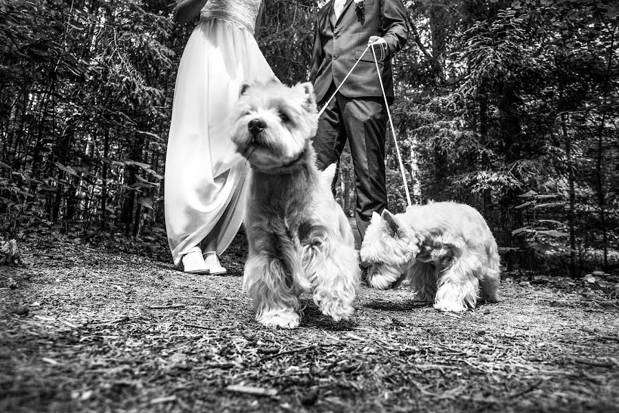 Photographe de mariage Danas Rugin (danas). Photo du 17 juillet 2018