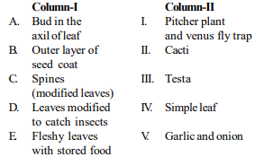 Modifications in plants