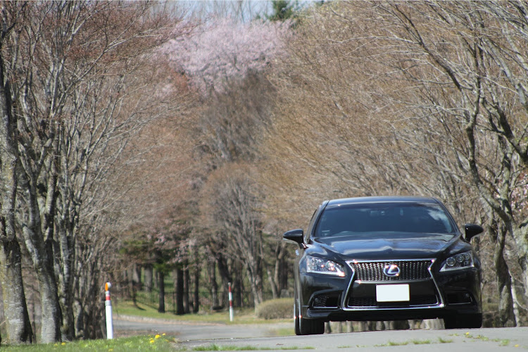 LSの北海道新得町屈足・cartunefriends・over50C・桜と愛車・ピックアップ一度でも載ってみたいに関するカスタム事例の投稿画像3枚目