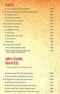 Larry's China - Taj Vivanta menu 7