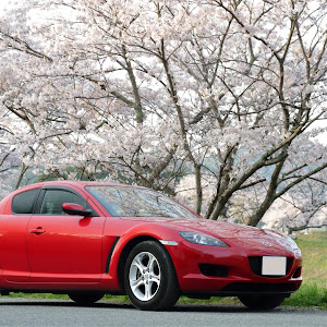 RX-8 SE3P