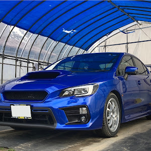 WRX S4 VAG