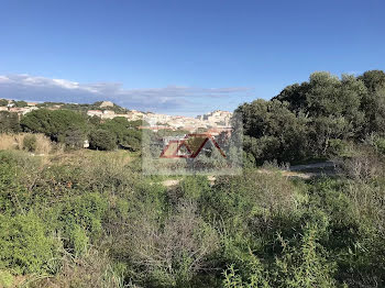 terrain à batir à Calvi (2B)