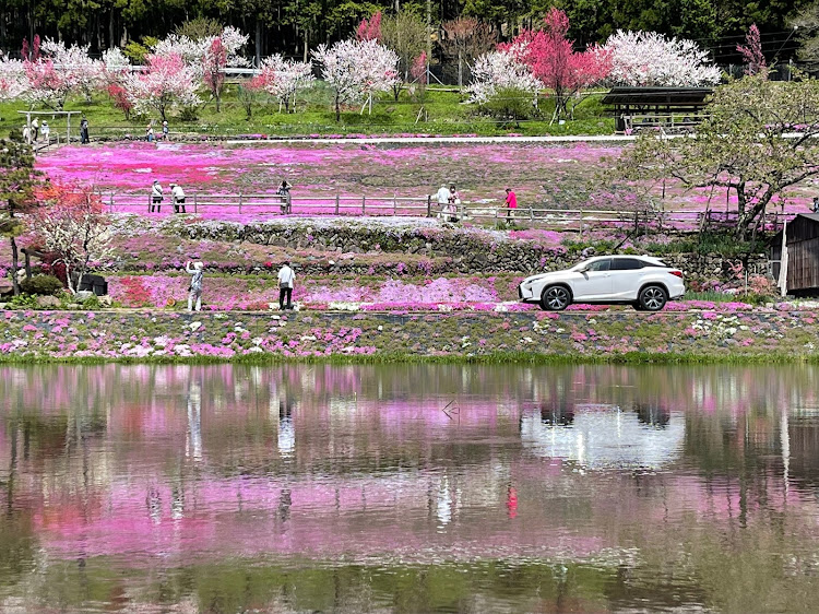 の投稿画像7枚目