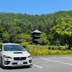 WRX STI VAB