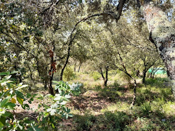 terrain à Sainte-Anastasie-sur-Issole (83)