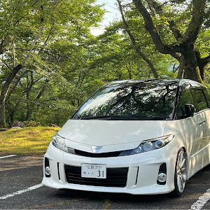 エスティマ ACR50W