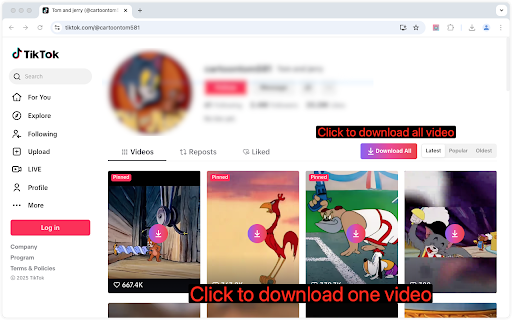 TikTok Downloader Preview 4