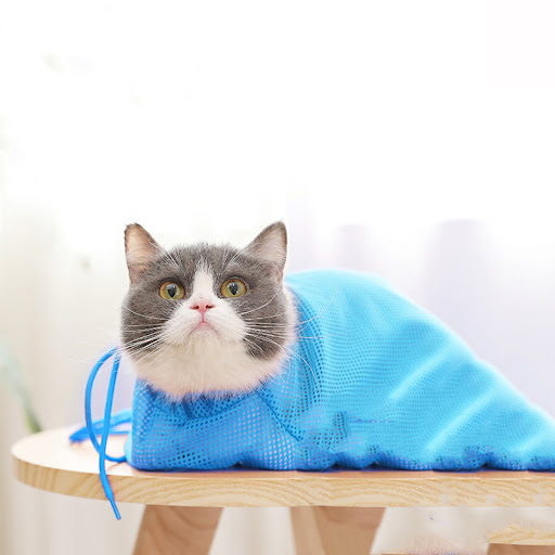 Title 4, Washing Cat Bag
