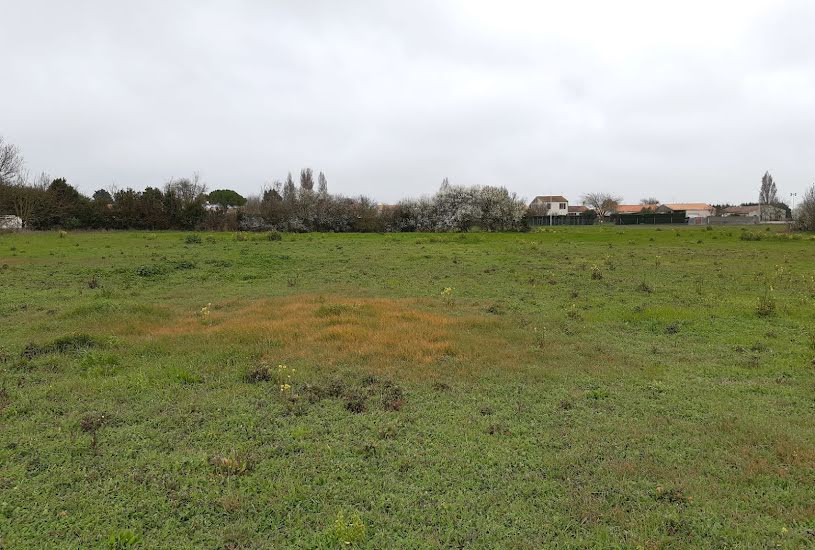  Vente Terrain à bâtir - 1 100m² à Saint-Pierre-d'Oléron (17310) 